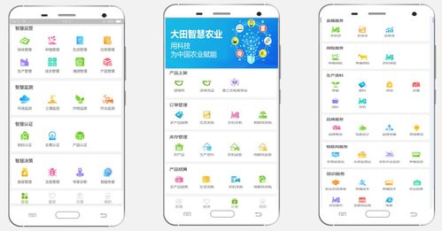大田智慧農(nóng)業(yè) 以1.28億元數(shù)字化服務(wù)，筑牢農(nóng)產(chǎn)品安全生命線